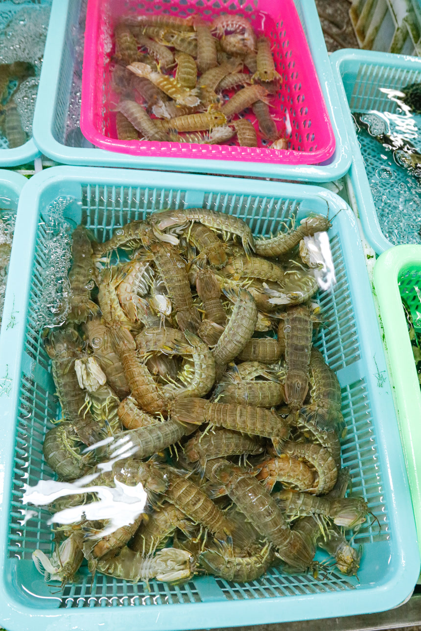 皮皮虾海鲜 海产品