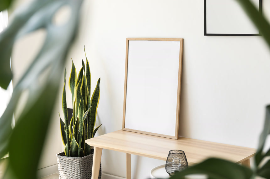 木桌上的空白框架和轻墙附近的室内植物生活方式