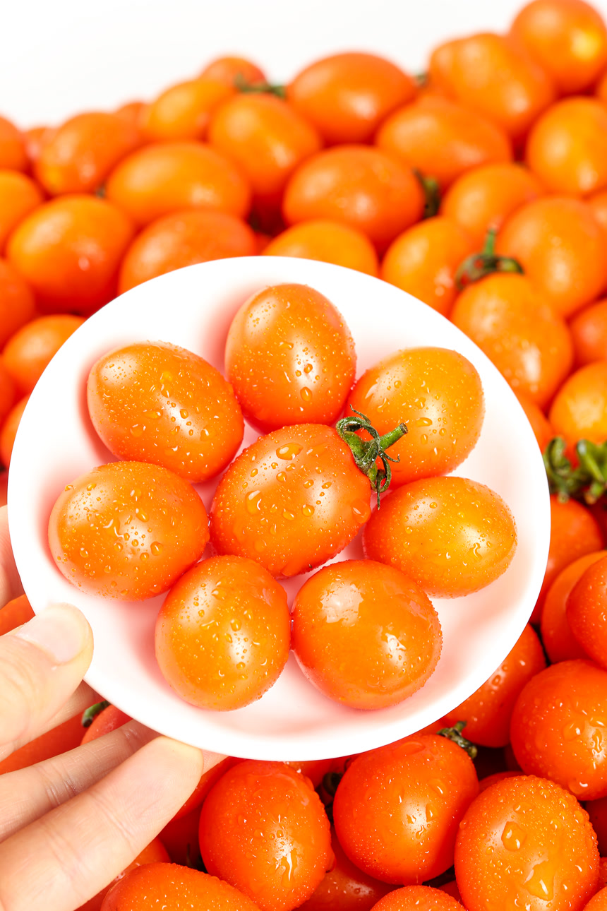 浅底上的小番茄