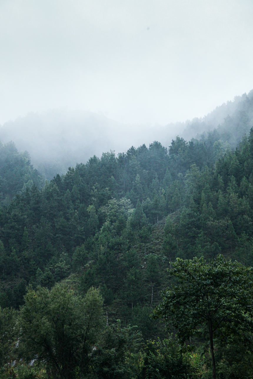 深山风景 云海