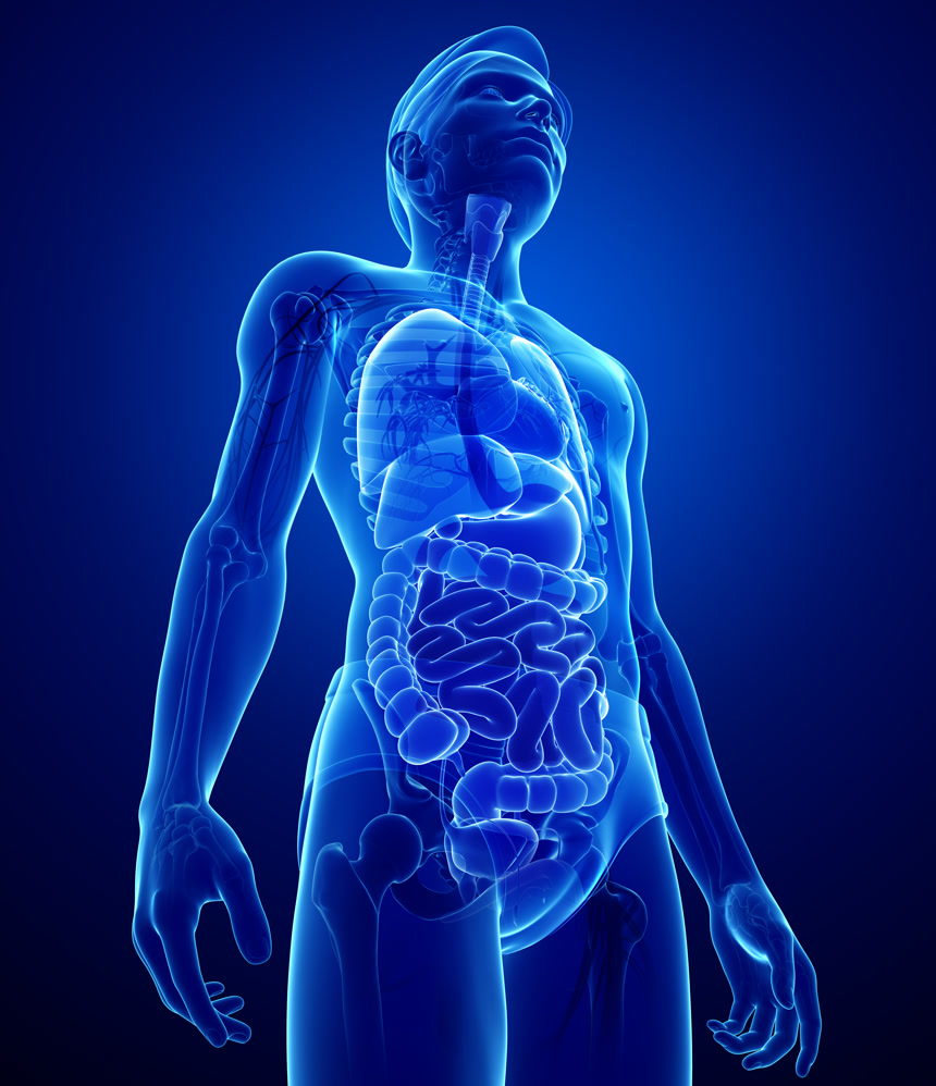 蓝色透明x 射线消化系统的男性身体医疗保健医院宣传