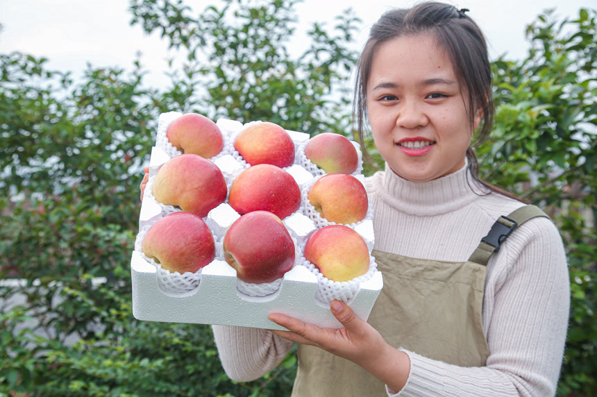 手里拿着一盒丑苹果