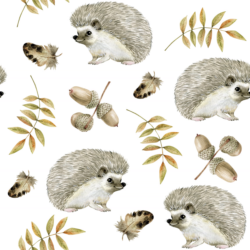 卡通可爱手绘动物刺猬插画背景