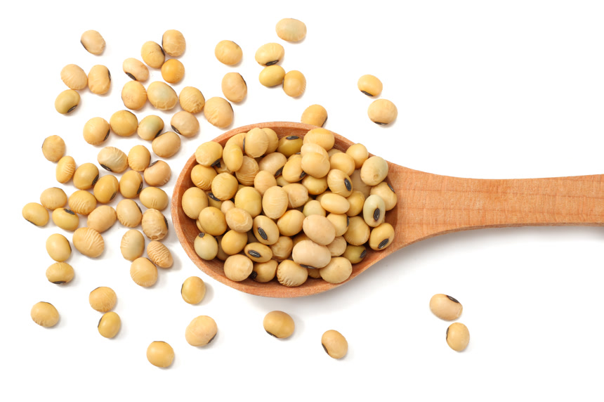 白色桌面上的木勺和大豆 顶部视图    产品宣传图
