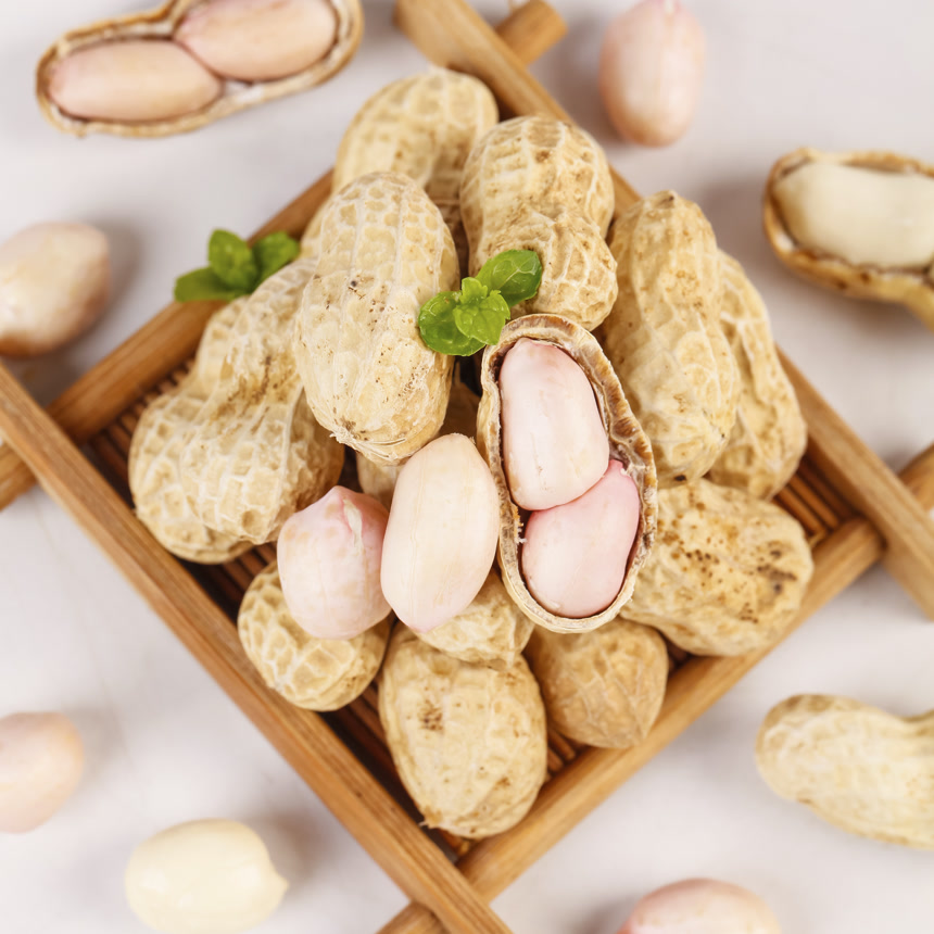 浅底上的新鲜花生