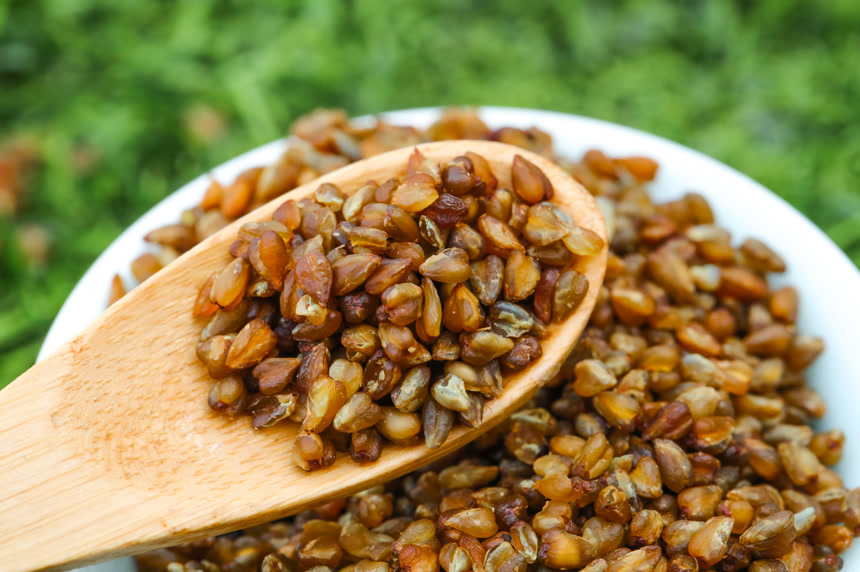 草地上的黑荞麦米