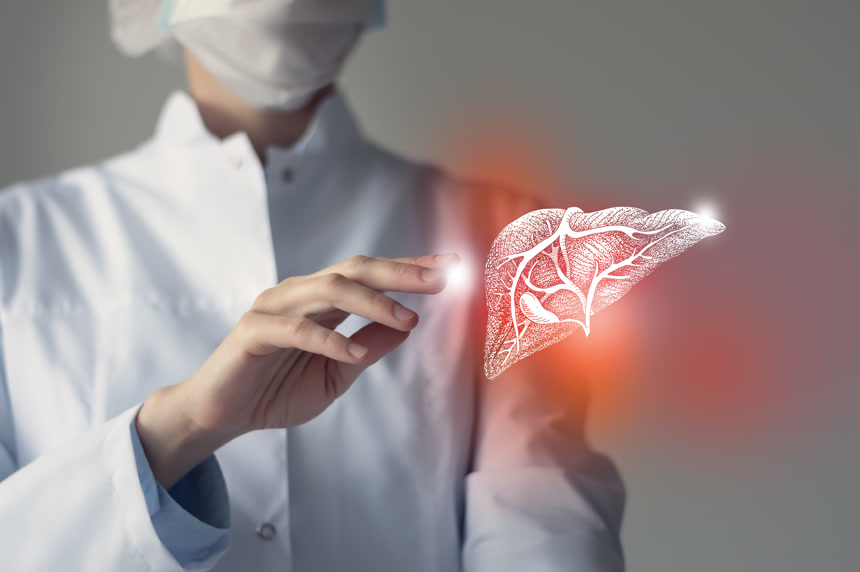 女医生用手触摸虚拟肝脏人体器官医疗人像