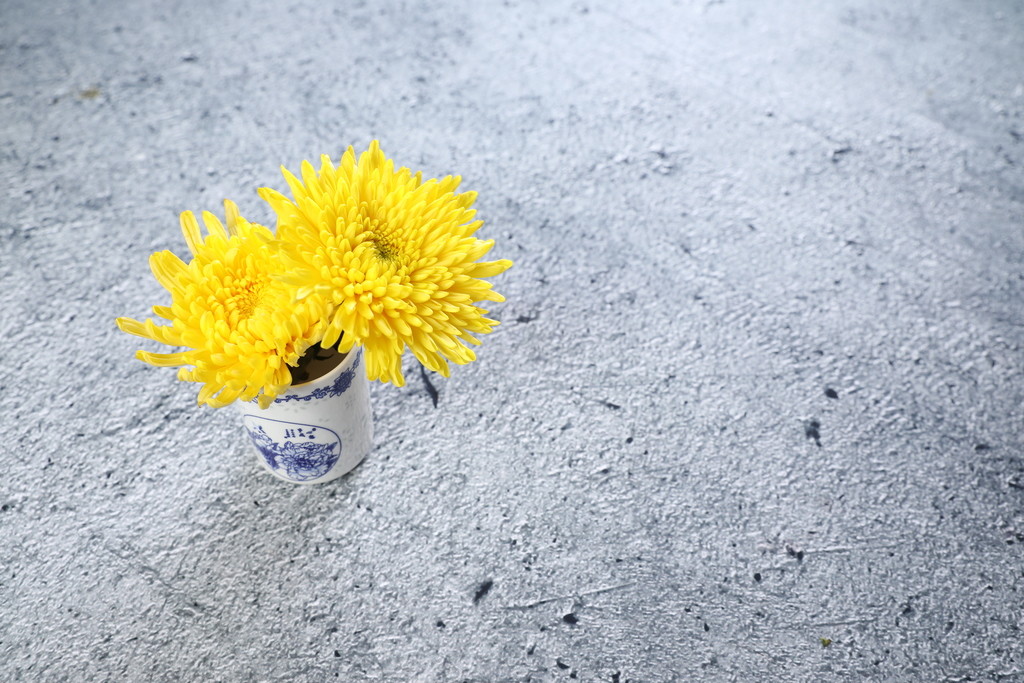 小清新文艺菊花背景图片