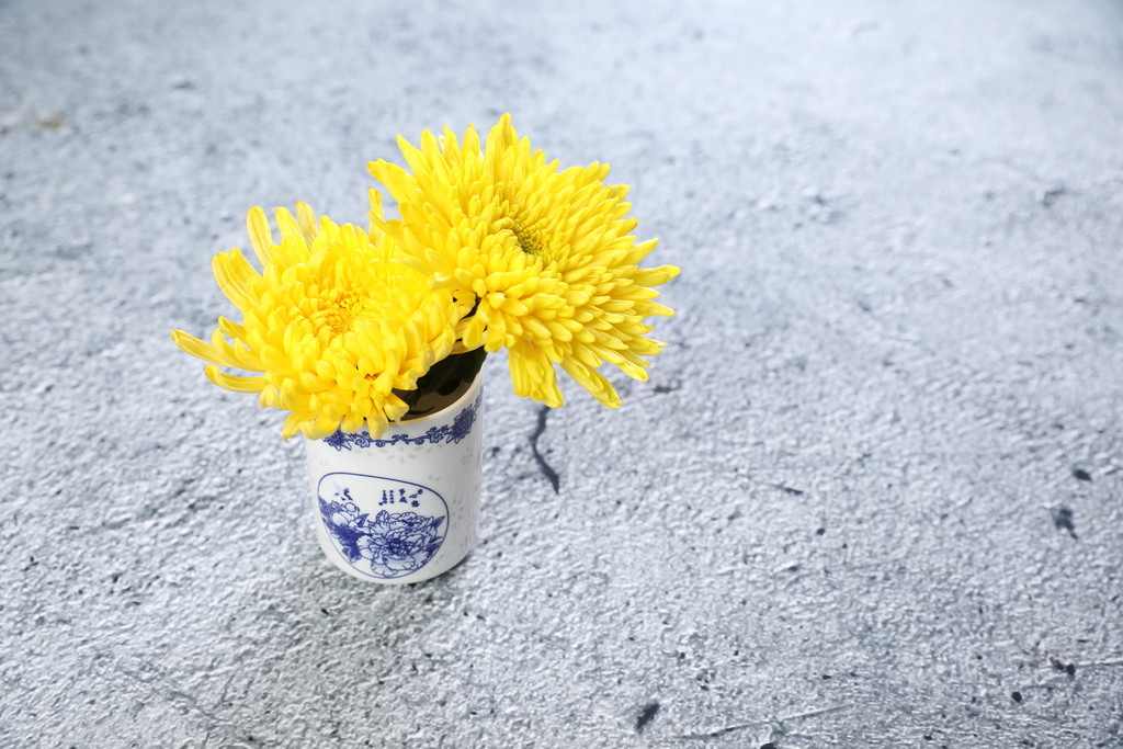 小清新文艺菊花背景图片