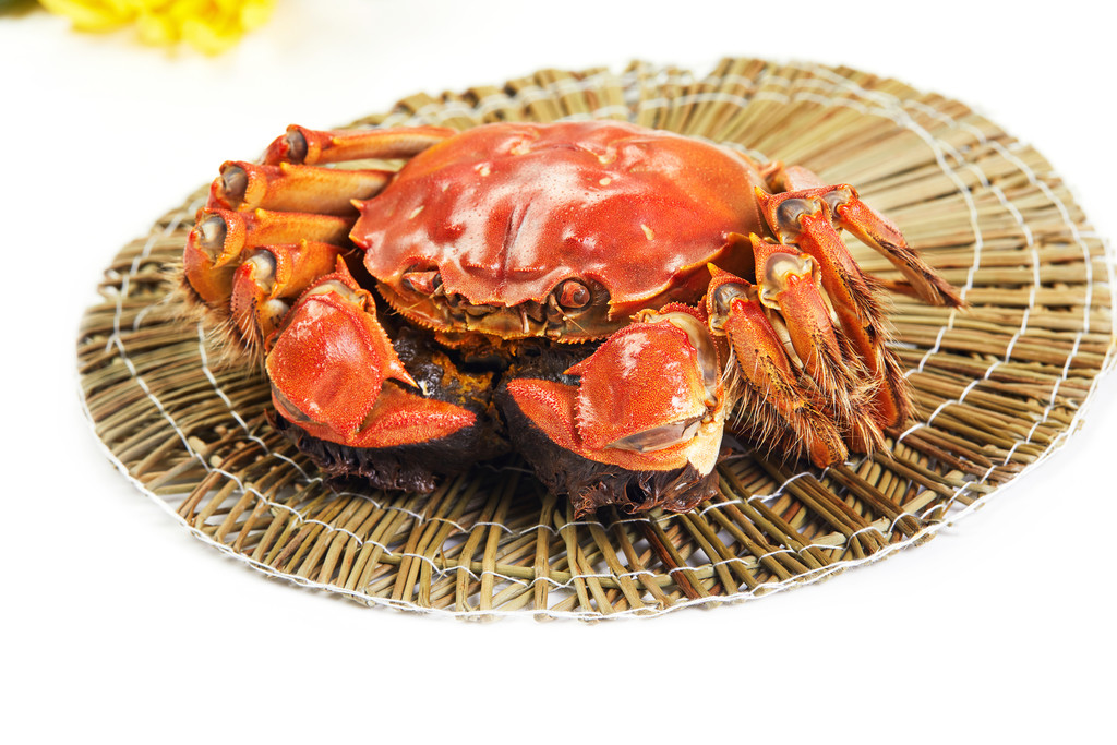 鲜亮美味大闸蟹背景图片