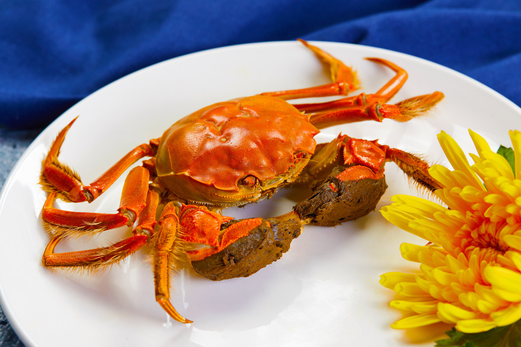 肥美大闸蟹美食背景图片