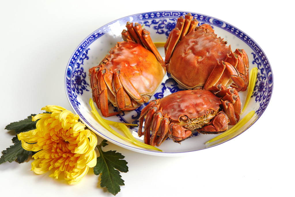 鲜美大闸蟹背景图片