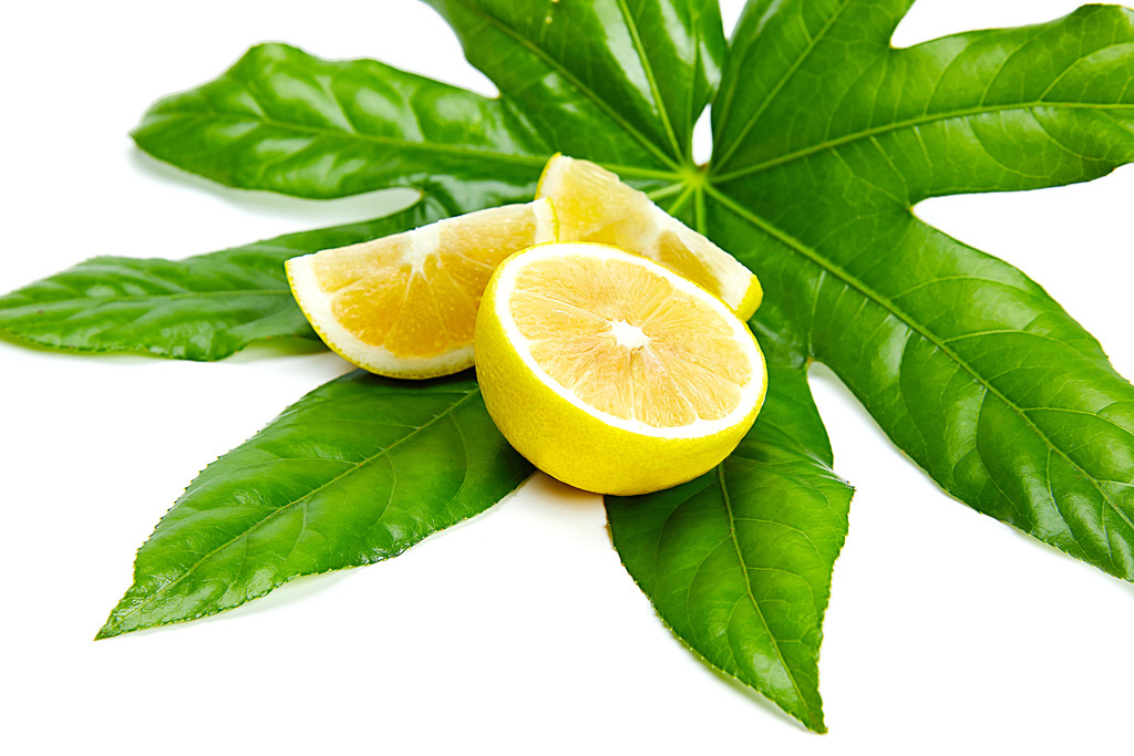 白底清新柠檬背景图片