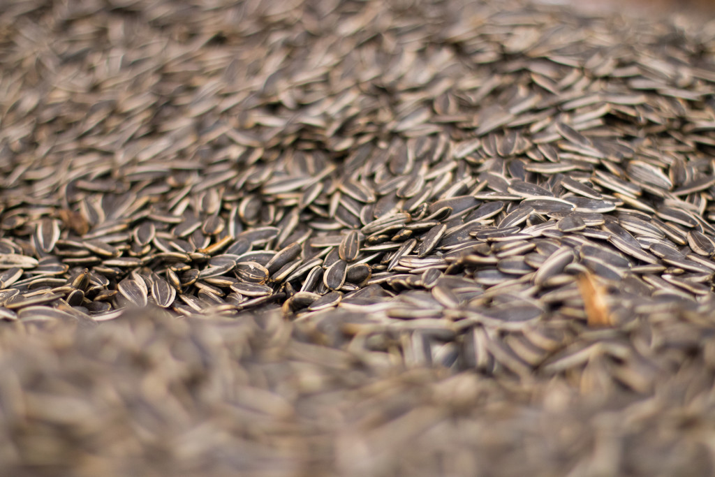 超市瓜子炒瓜子静物背景图片