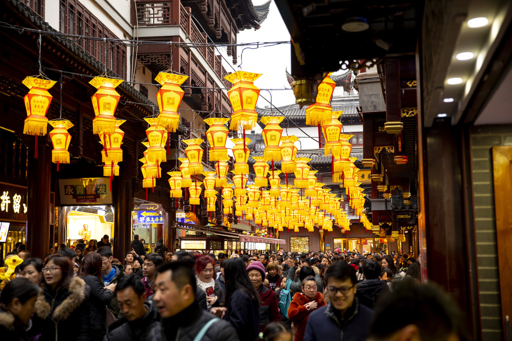 2019猪年新年逛庙会彩灯节背景图片