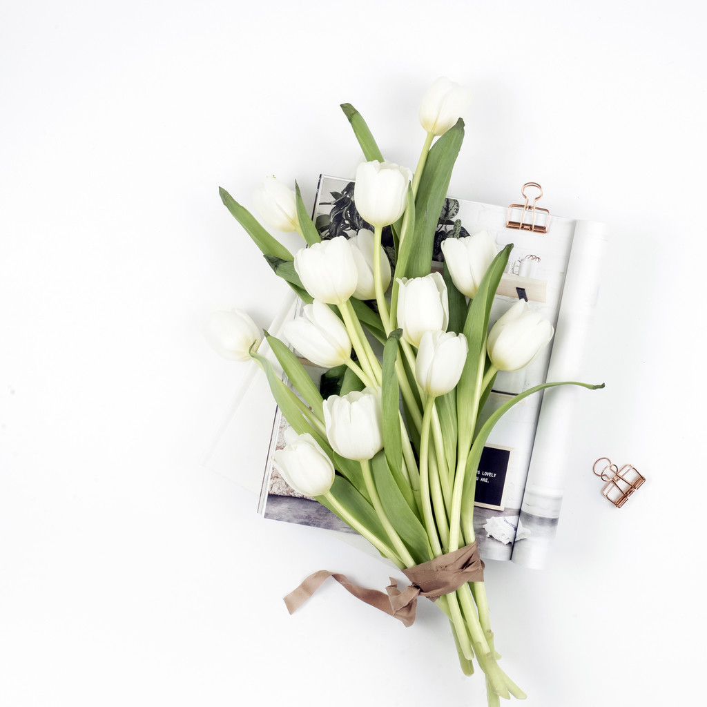 简约小清新郁金香花卉装饰图片背景