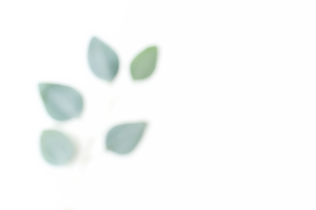 斯堪的纳维亚极简风格绿色树叶背景图片