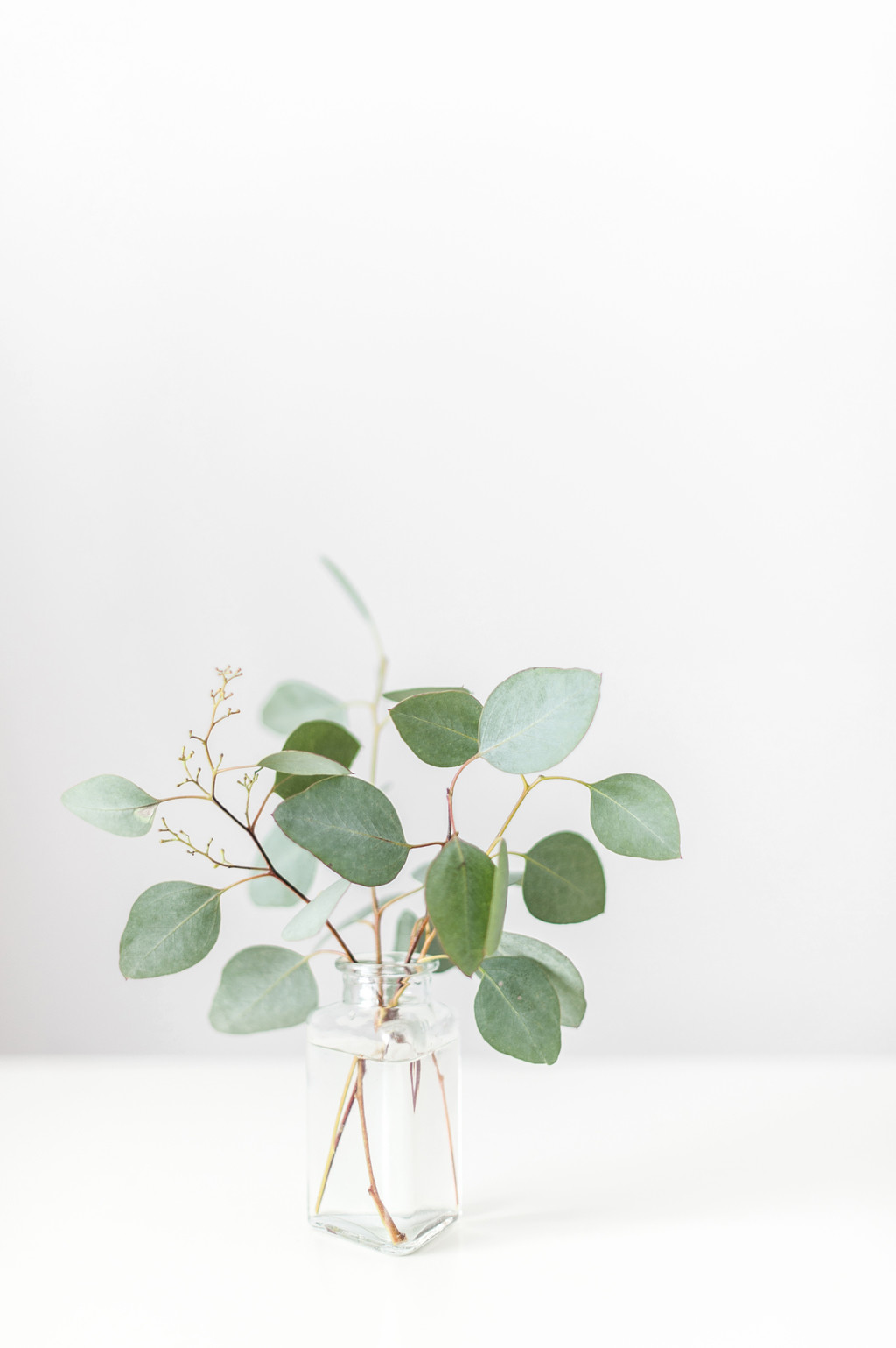 斯堪的纳维亚极简风格绿色树叶背景图片