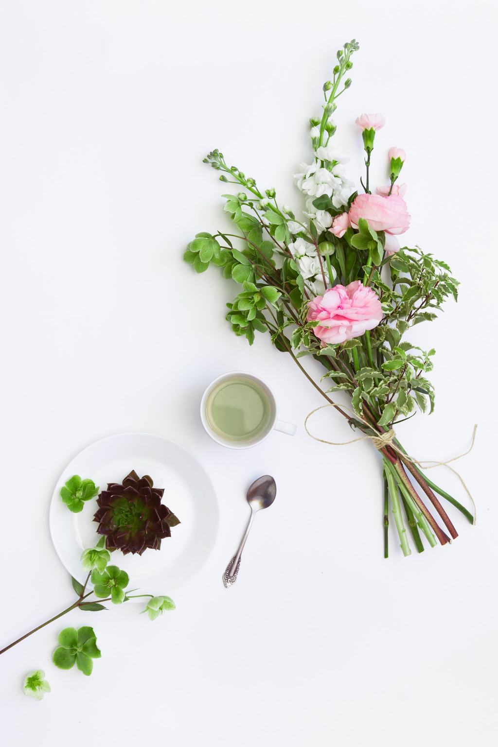 淡雅小清新简约花朵花卉图片