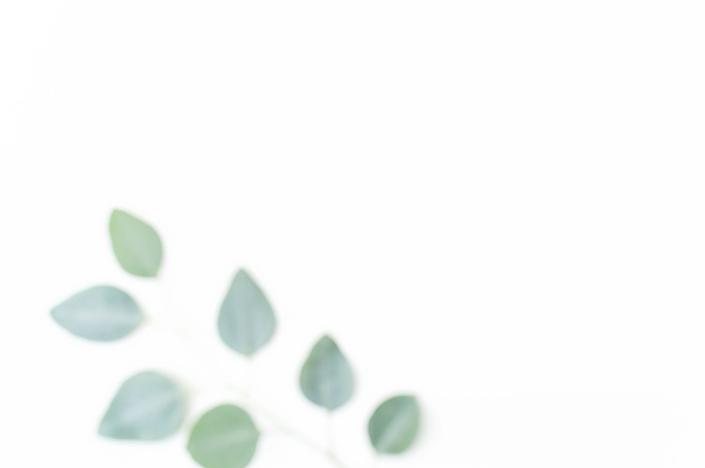 斯堪的纳维亚极简风格绿色树叶背景图片