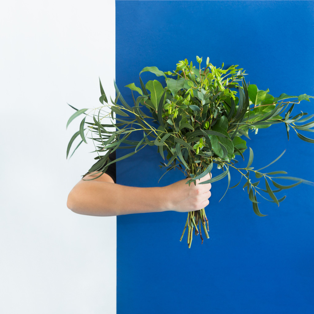 淡雅小清新简约花朵花卉图片