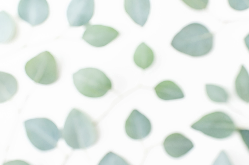 斯堪的纳维亚极简风格绿色树叶背景图片