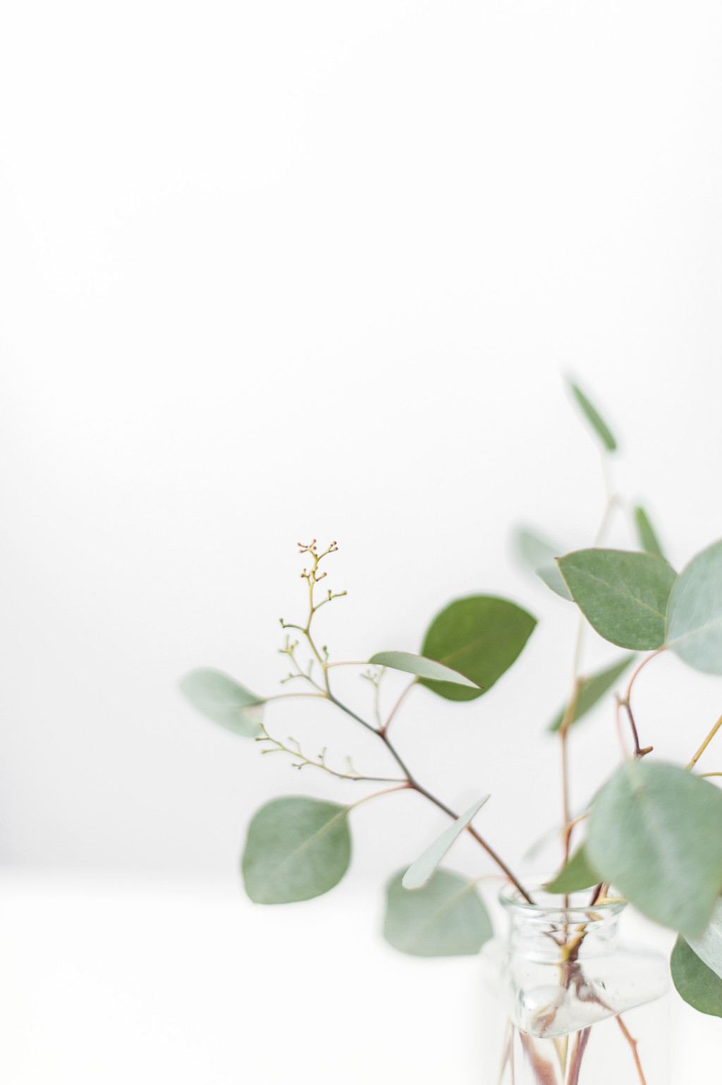 斯堪的纳维亚极简风格绿色树叶背景图片