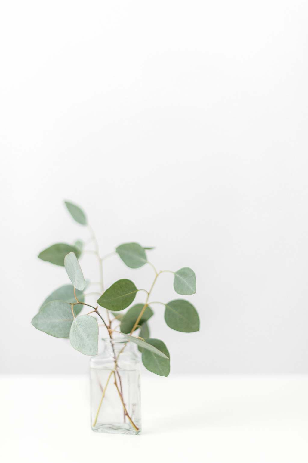 斯堪的纳维亚极简风格绿色树叶背景图片