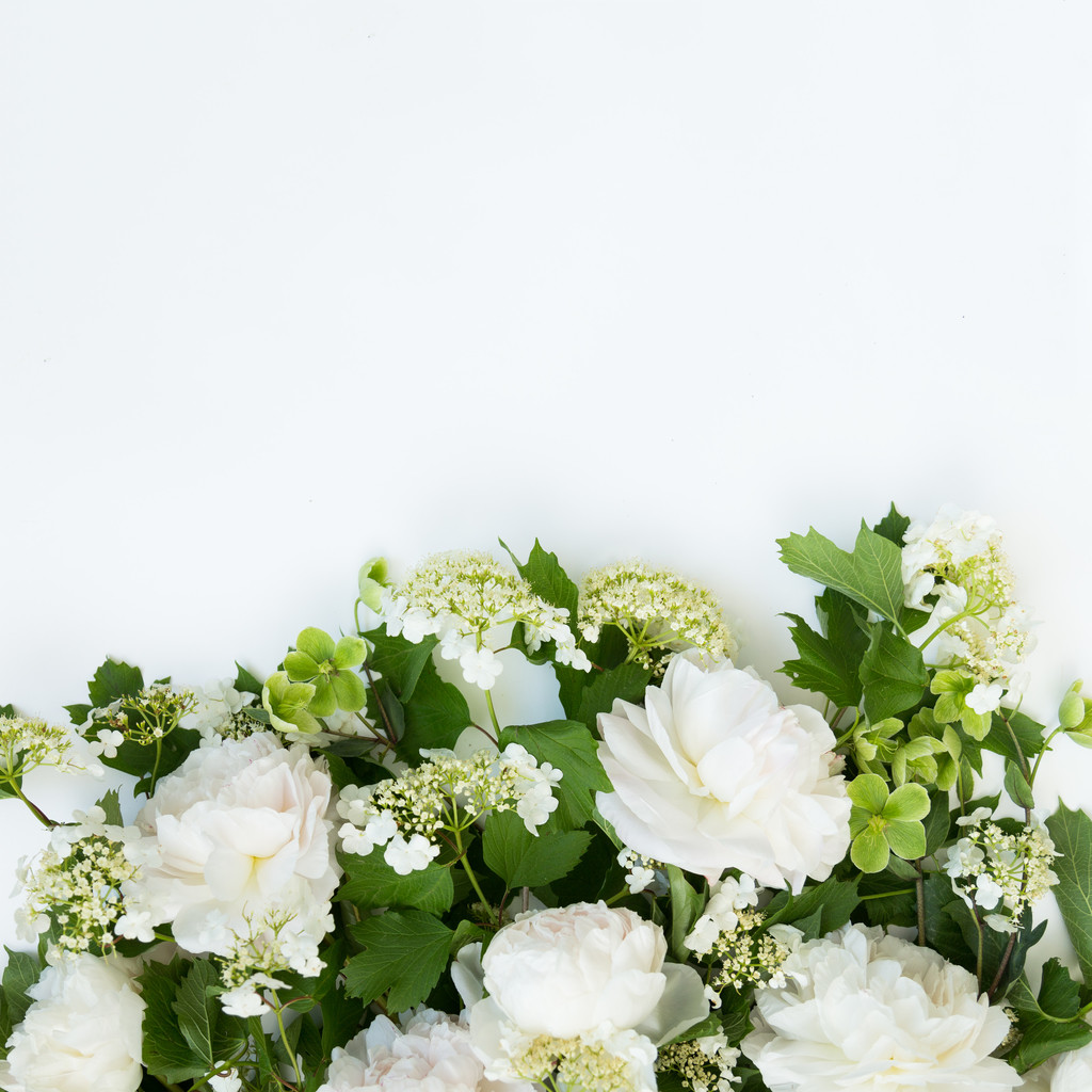 春天淡雅小清新简约花朵花卉图片