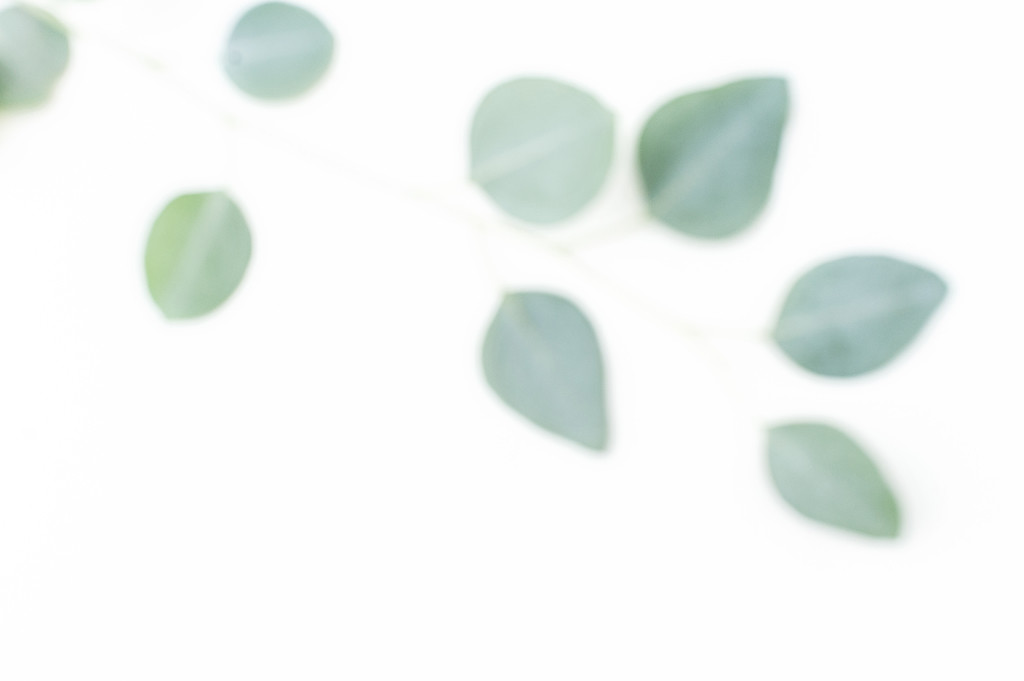 斯堪的纳维亚极简风格绿色树叶背景图片