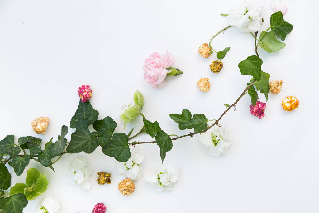 淡雅小清新简约花朵花卉春天图片