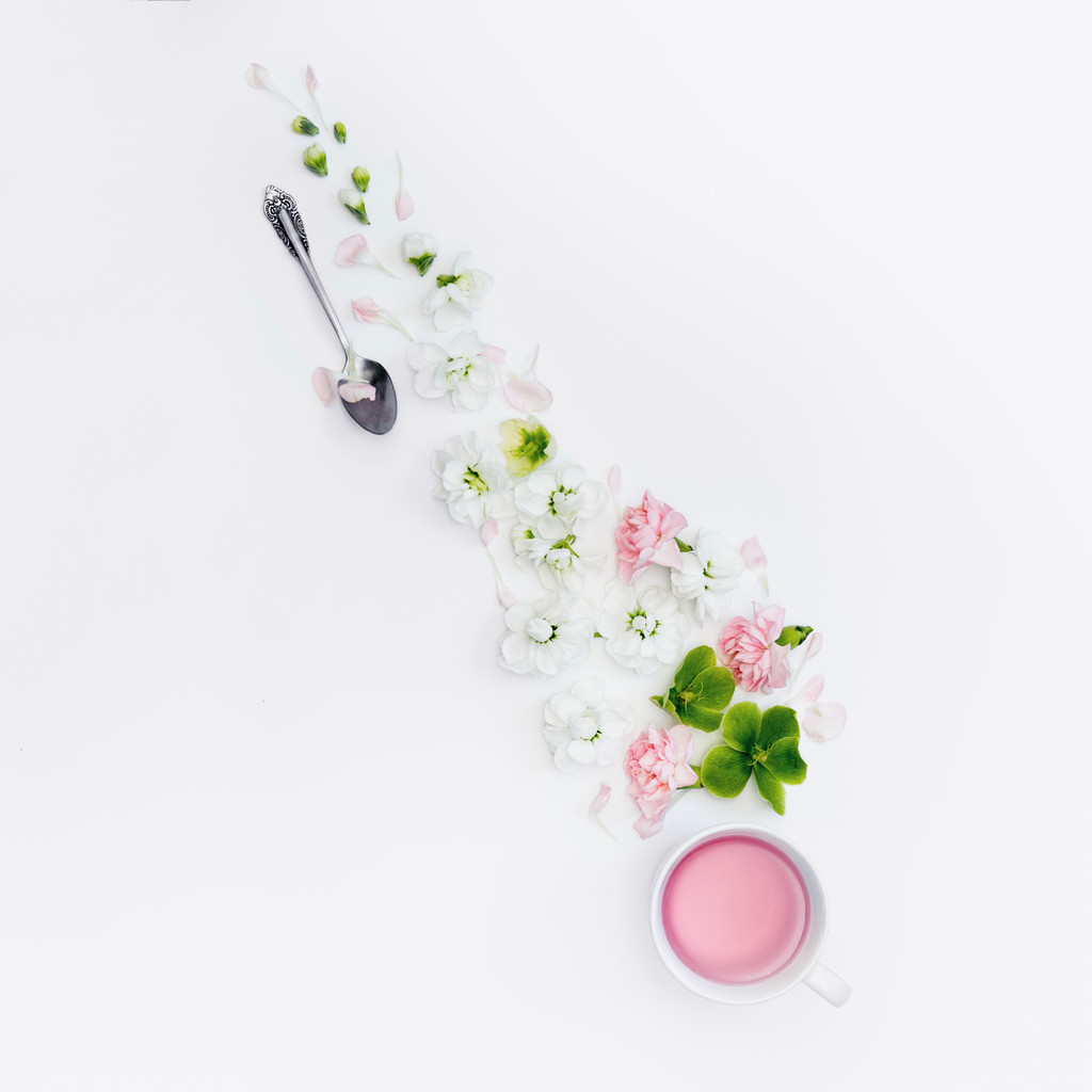 淡雅小清新简约花朵花卉春天图片