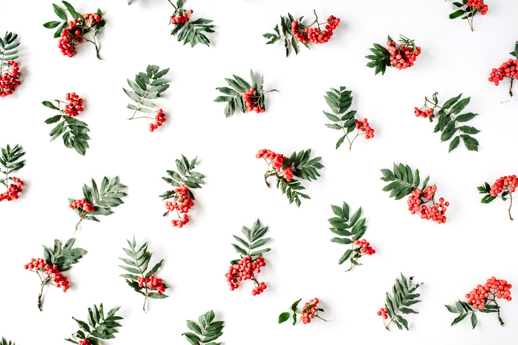 极简淡雅新年圣诞节装饰背景图片