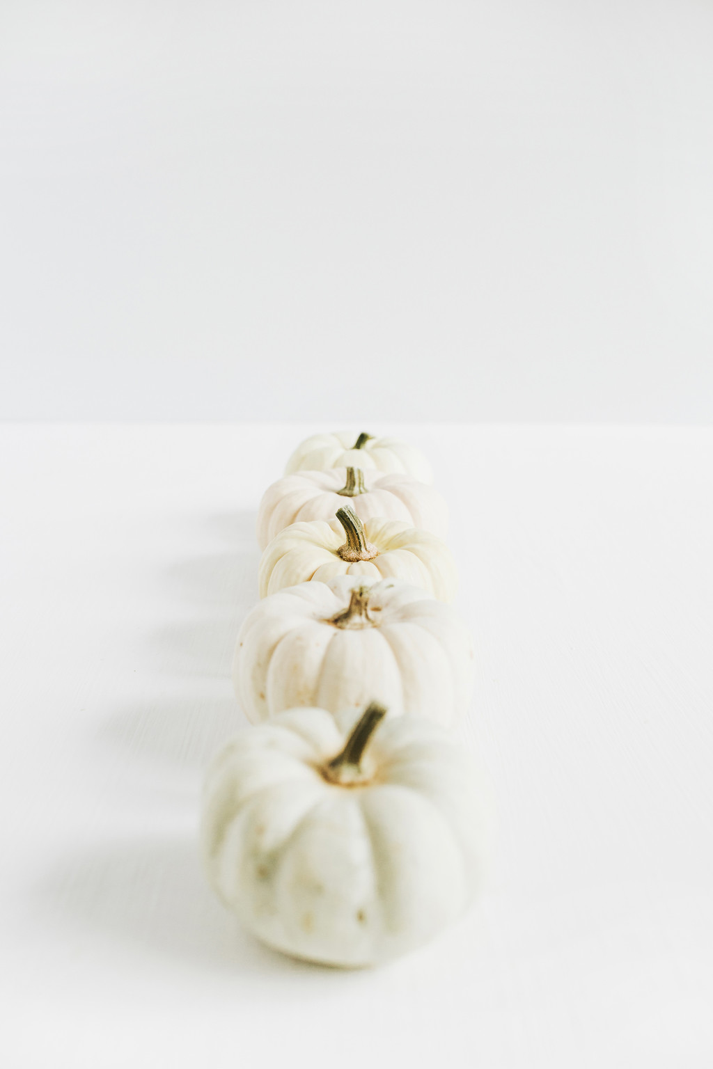 斯堪的纳维亚极简白色南瓜背景图片