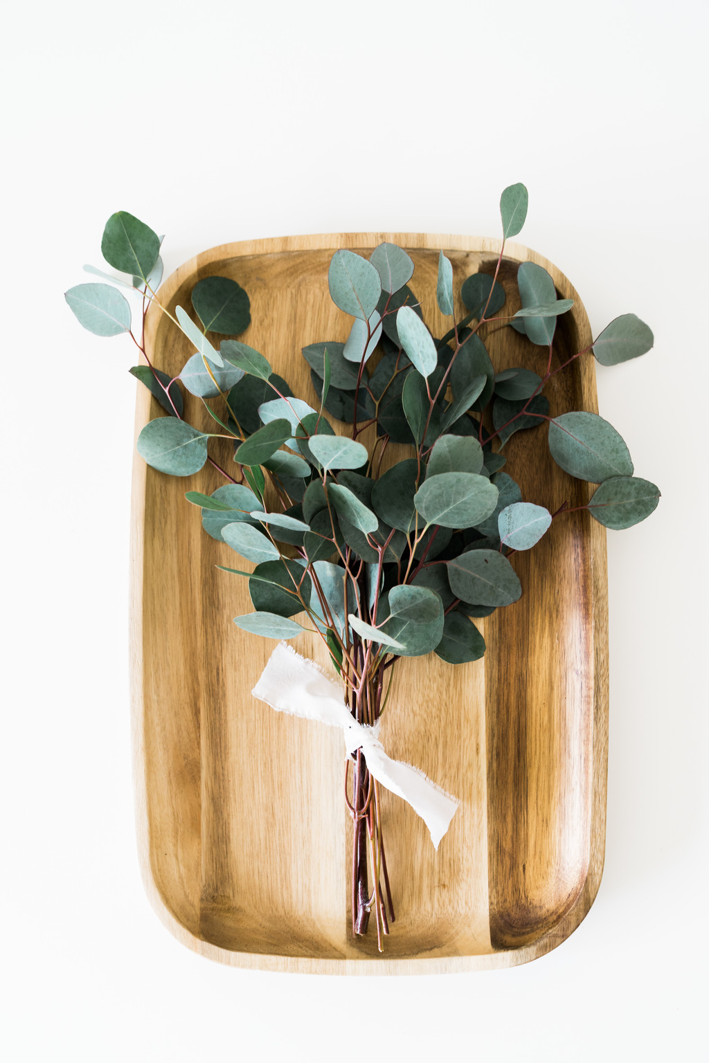 极简淡雅玫瑰花花朵背景图片