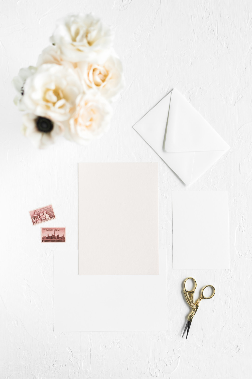 极简淡雅玫瑰花花朵背景图片