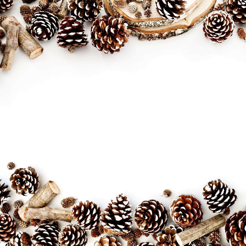 极简果实松果儿边框背景图片