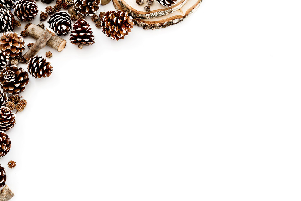 极简果实松果儿边框背景图片