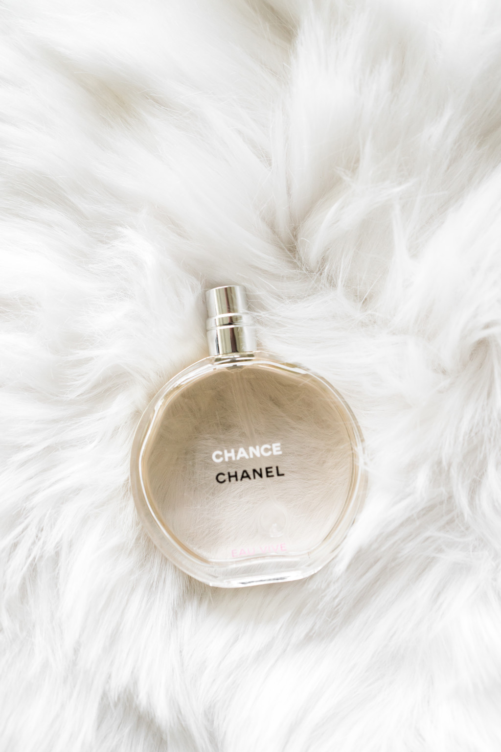 极简淡雅玫瑰花花朵背景图片