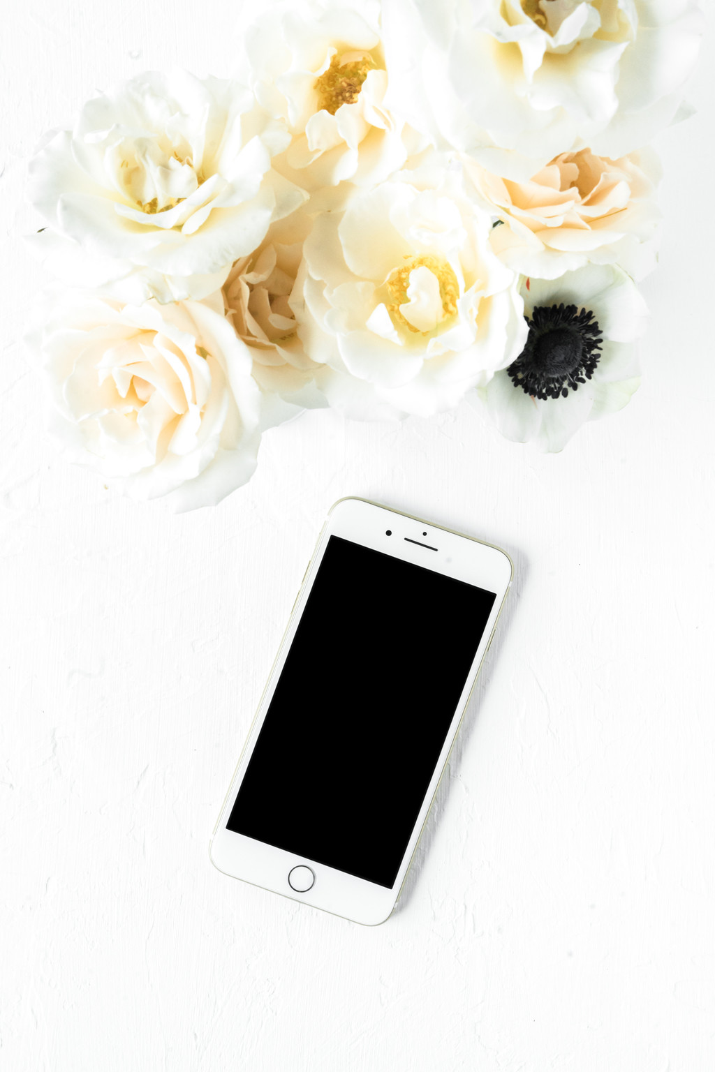 极简淡雅玫瑰花花朵背景图片