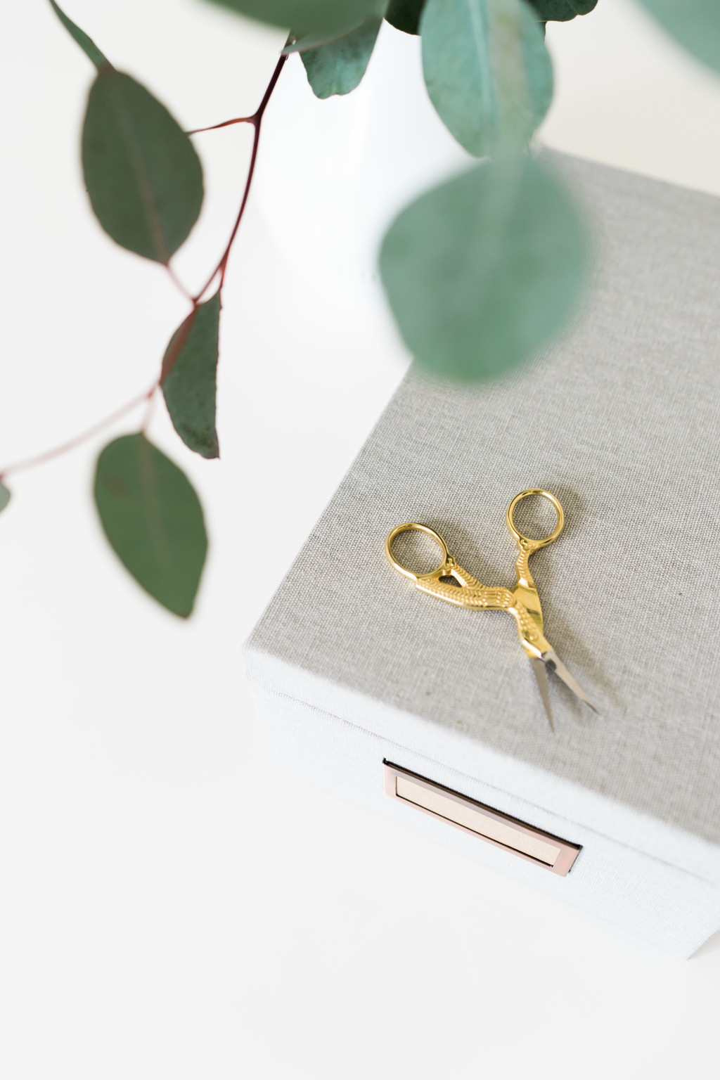 极简淡雅玫瑰花花朵背景图片