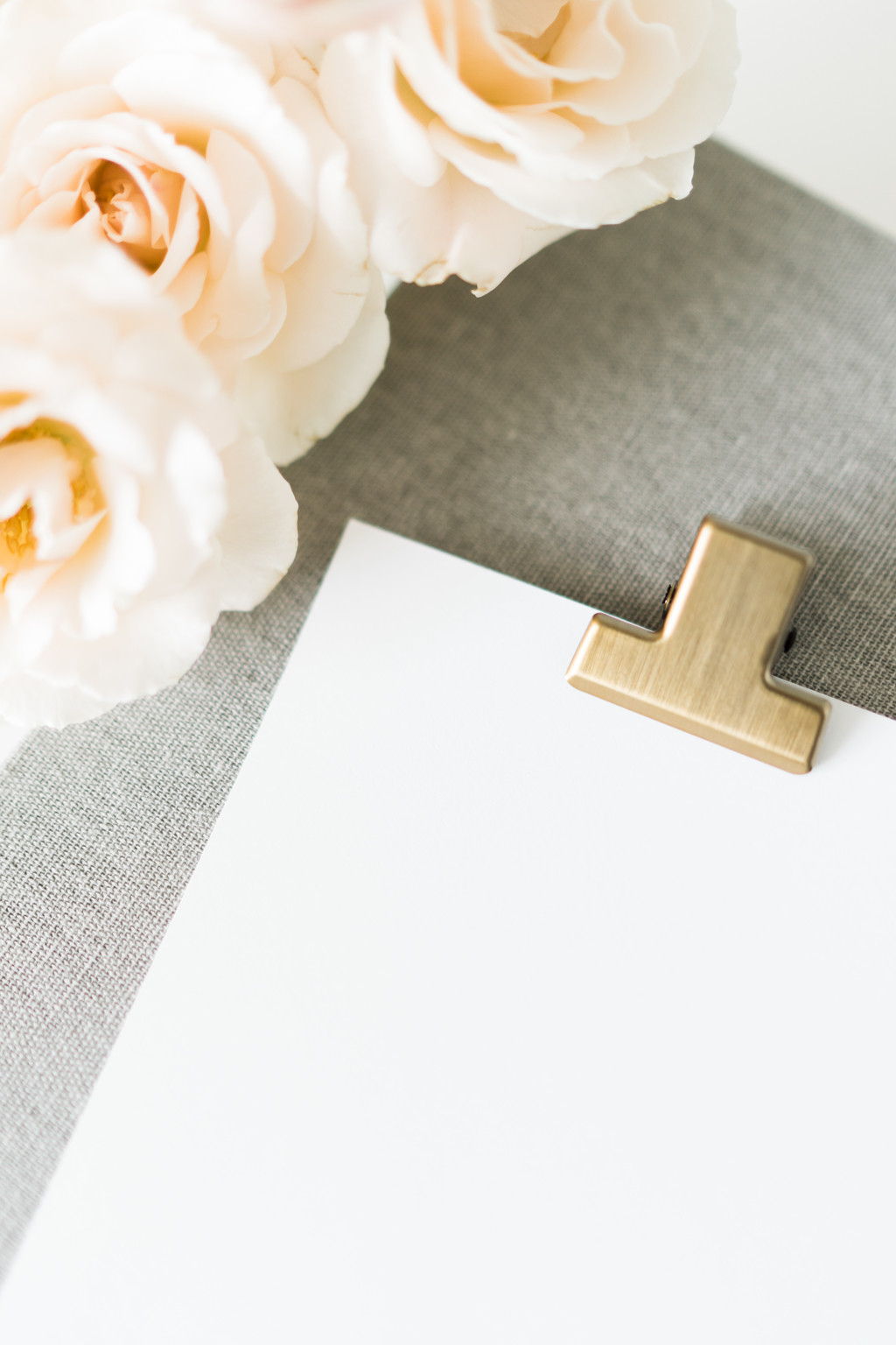 极简淡雅玫瑰花花朵背景图片