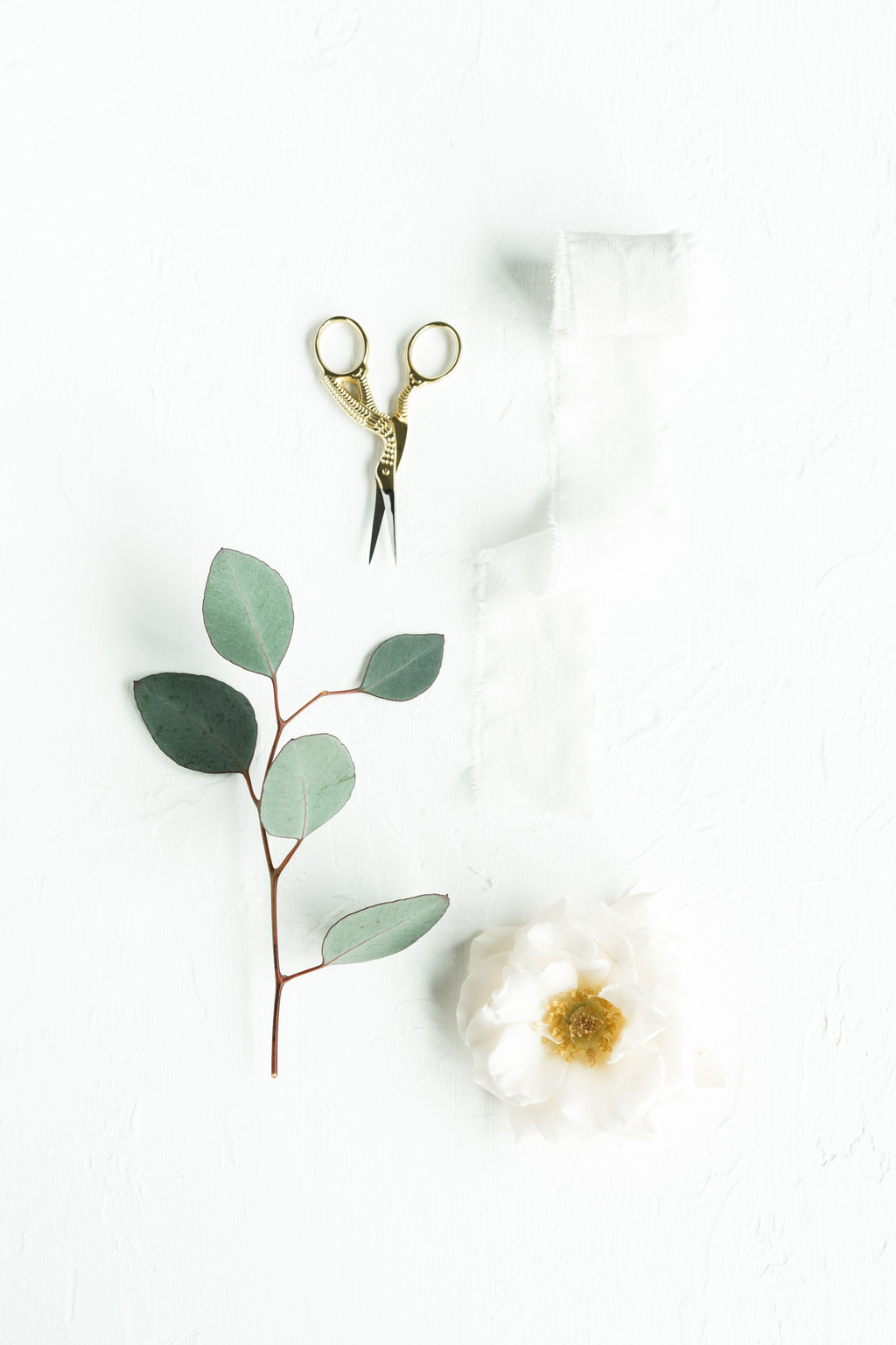 极简淡雅玫瑰花花朵背景图片