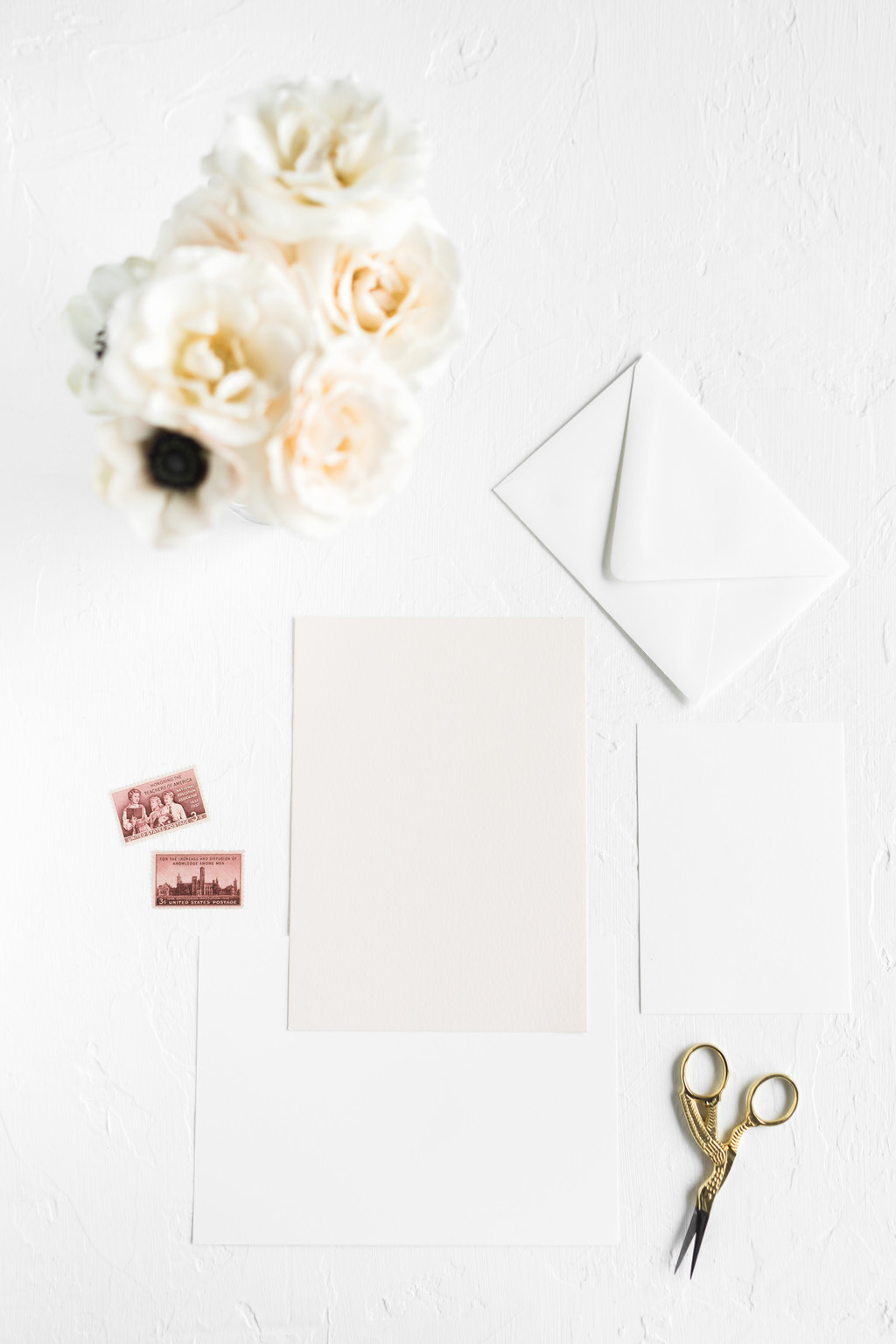 极简淡雅玫瑰花花朵背景图片