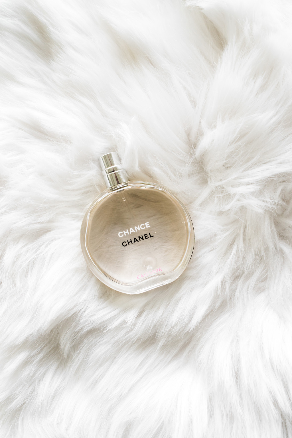 极简淡雅玫瑰花花朵背景图片