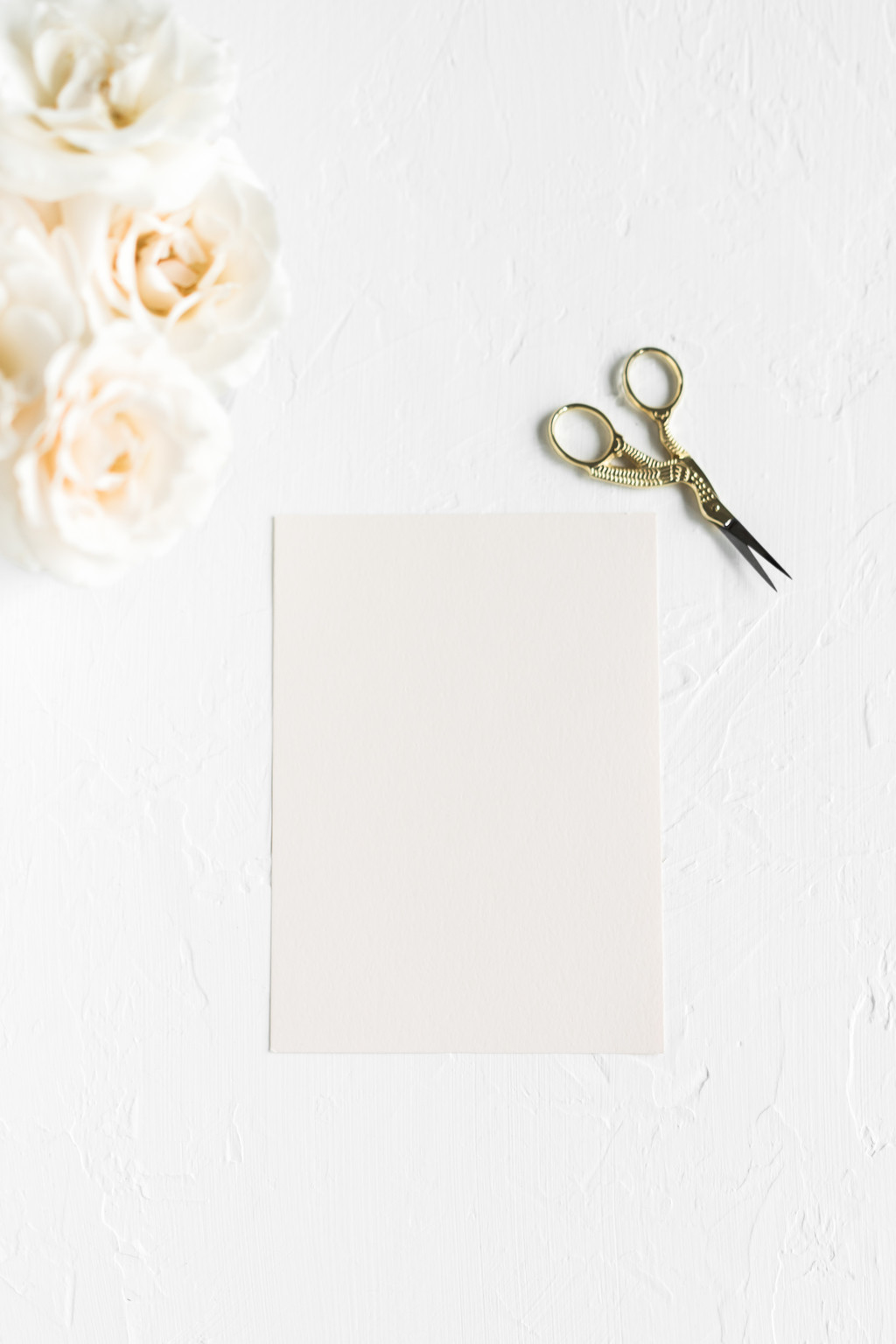 极简淡雅玫瑰花花朵背景图片