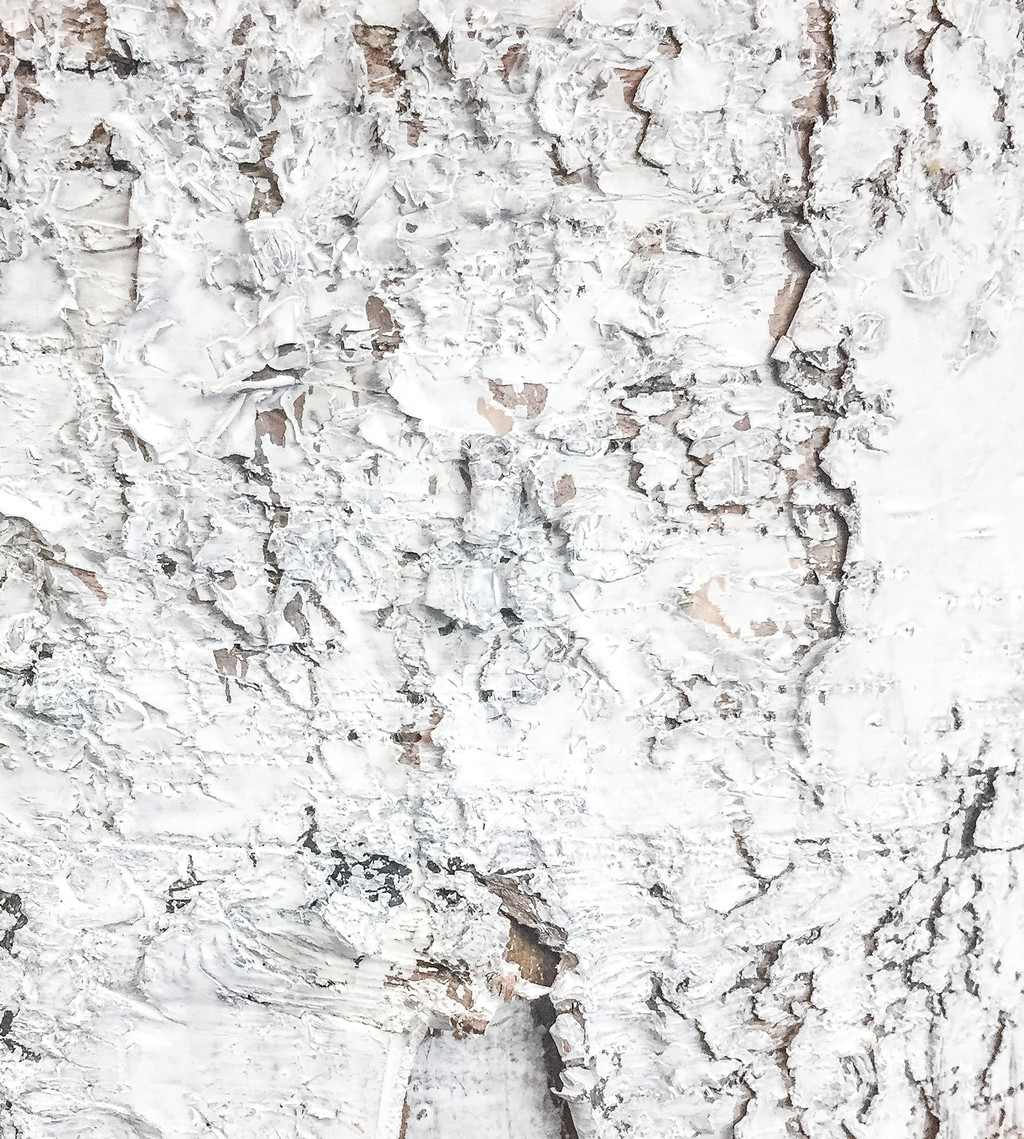 极简素雅背景图片