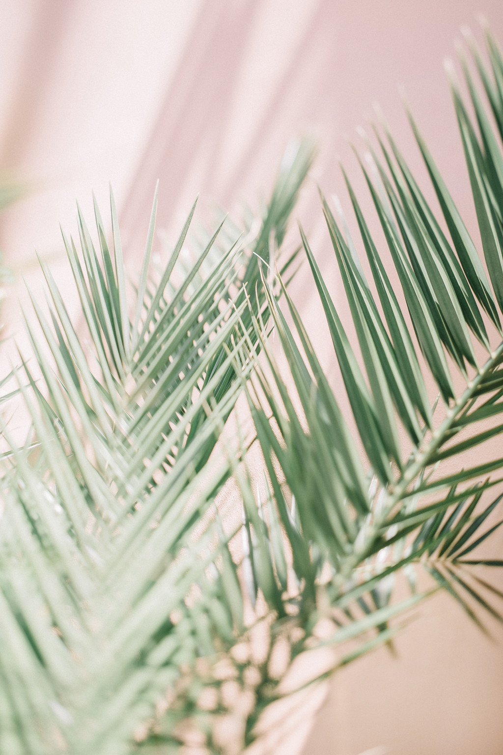 极简创意特写手机壁纸图片