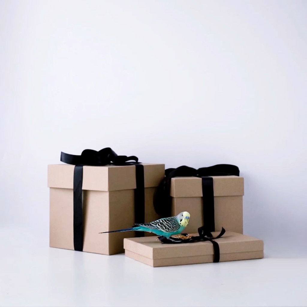 极简斯堪的纳维亚风格圣诞图片