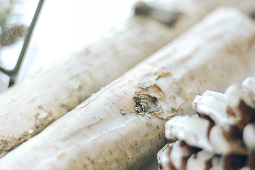 极简松树松子木头背景图片